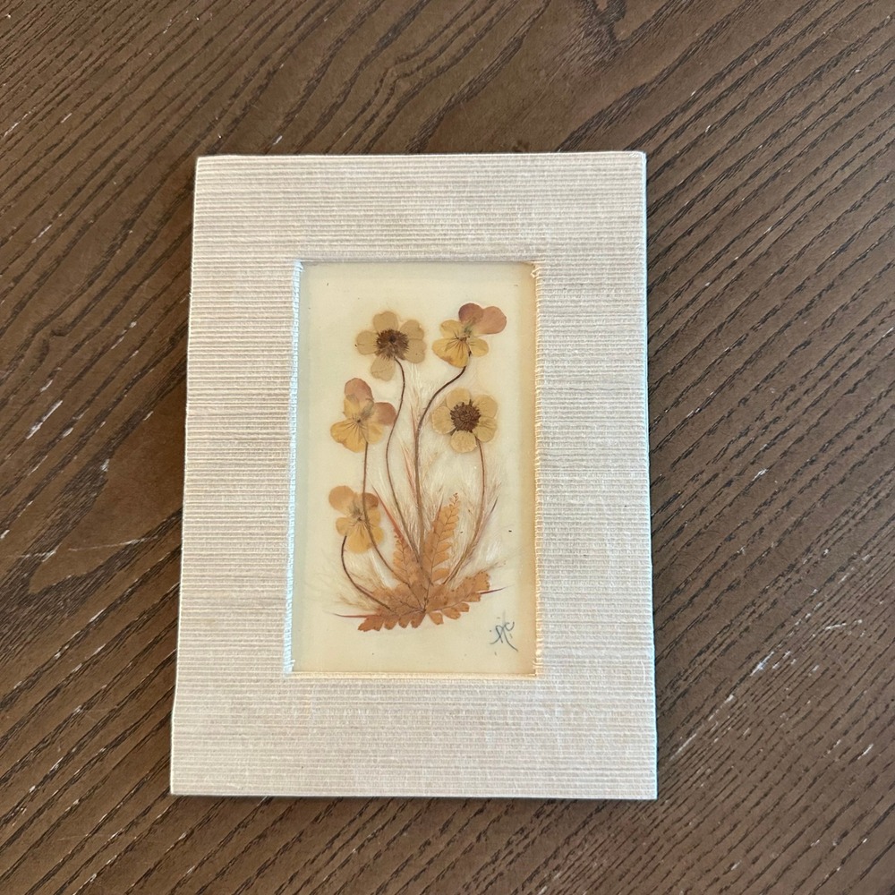 Vintage Pressed Flower Art Framed Botanical Floral Study Signed 7.5x5.5